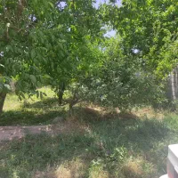 باغ در خسروشاه