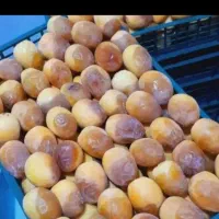 خرما|خوردنی و آشامیدنی|خرمشهر, |دیوار