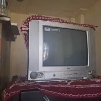 تلوزیون