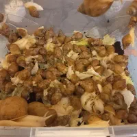 حلزون آلبینو