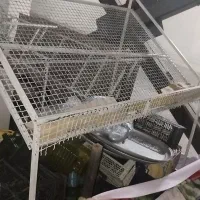وسایل میوه و تره بار