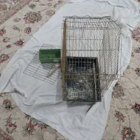 قفس پرنده