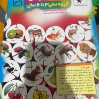 هوش چین|اسباب‌‌بازی|تهران, جنت‌آباد جنوبی|دیوار