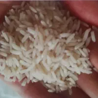فروش انواع برنج ایرانی طارم،طارم هاشمی،فجر،شیرودی،