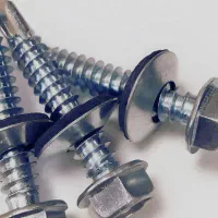 پیچ  ایرانیت