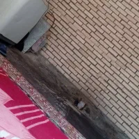 سنگ دستشویی فرنگی