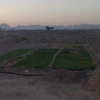 زمین کشاورزی تقاب معصوم آباد