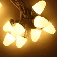 ریسه بلوطی آفتابی