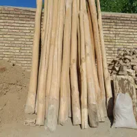 چوب چنار اصل
