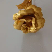 گل رزطلایی