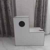 لانه طوطی