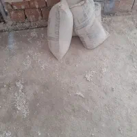 گچ گل و گچ به تعداد ۸۰