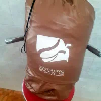 چادر خودرو فونیکس اف ایکس