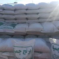 برنج چمپا درجه یک