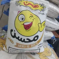 برنج ارسیکس  R6 محسن