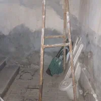 چهار پایه