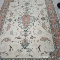 قالی|فرش|کلاترزان, |دیوار