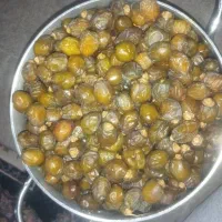 خرما|خوردنی و آشامیدنی|فسارود, |دیوار