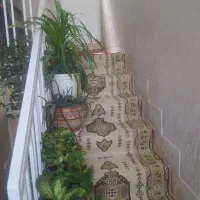 منزل-ویلایی-دوطبقه