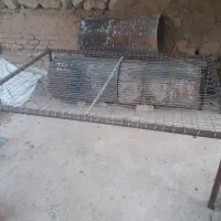 تخت