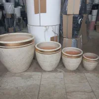 بن‌ سای گلدان