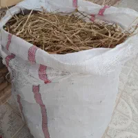 ۱۳ کیلو