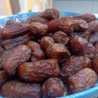 خرمای باکیفیت دنیادیده (مستقیم از نخلستان)