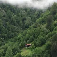 طبیعت گردی