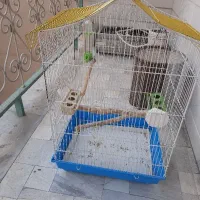 قفس بزرگ همراه وسایل ۱میلیون