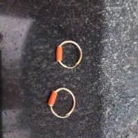 فروش گل گوش نونو استفاده نشده