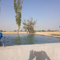 کاشیکاری .سرامیک .سیمان کاری موزائیک فرش
