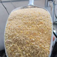 استخدام اتباع