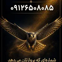 شماره ای که پرواز تان میدهد.