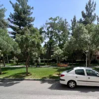 206 سفید  مدل 94 فوق العاده تمیز V8 بی رنگ کم‌کار