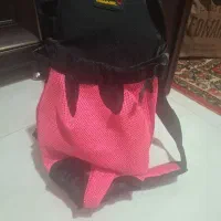 اغوشی سگ