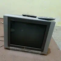 تلویزیون