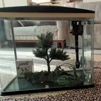 آکواریوم شرکتی شیشه خم ماهیران