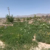 فروش زمین کشاورزی مرغوب و حاصل خیز