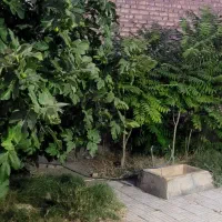فروش خونه