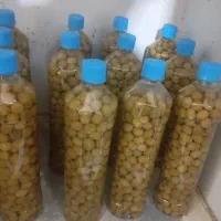 زیتون خیارشور ترشیجات لواشک