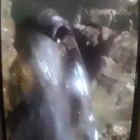 حفاری افقی