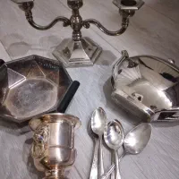 سیلور پلیت اروپایی