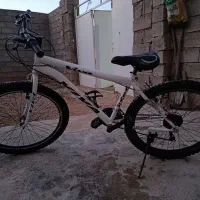 دوچرخه 26ویوا