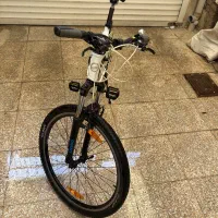 جاینت رینکون