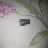 یه تیکه سنگ کوچک مشکی.ناب جذب اهنربا و تعدادی ...