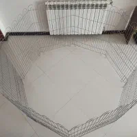 قفس ، پارک حیوانات ، سگ گربه و خرگوش