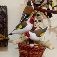 سهره