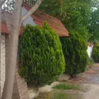 زمین-فروشی-در-ماهفروز-محله
