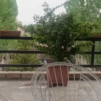 مغازه رهن و اجاره تمیز