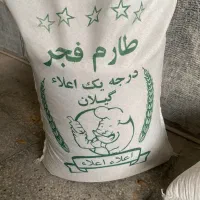 برنج ایرانی فجر کشت امسال